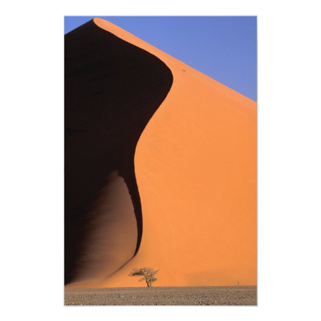 Afrika, Namibia, kvällsljus på sanddyner. Fototryck (Framsidan)