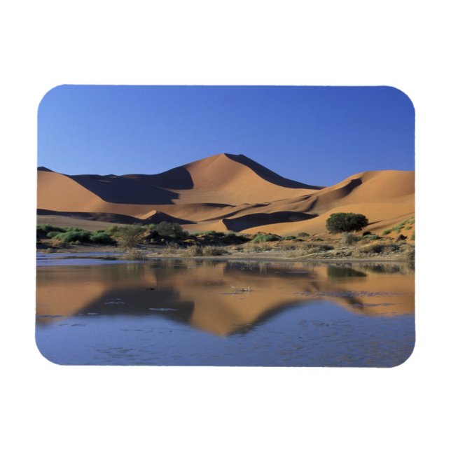 Afrika, Namibia, Namib National Park, Sossusvlei 2 Magnet (Horisontell)