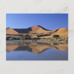 Afrika, Namibia, Namib National Park, Sossusvlei 2 Vykort