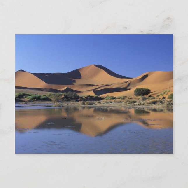 Afrika, Namibia, Namib National Park, Sossusvlei 2 Vykort (Framsida)
