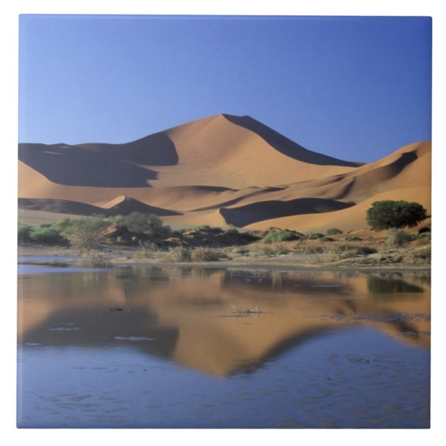 Afrika, Namibia, Namib Nationalpark, Sossusvlei 2 Kakelplatta (Framsidan)