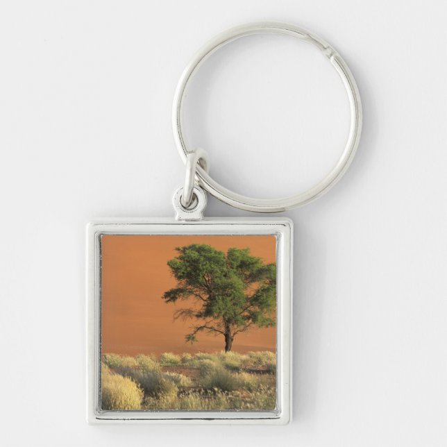 Afrika, Namibia, Namib Nationalpark, Sossusvlei Fyrkantig Silverfärgad Nyckelring (Framsidan)