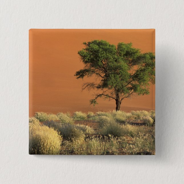 Afrika, Namibia, Namib Nationalpark, Sossusvlei Knapp (Framsida)