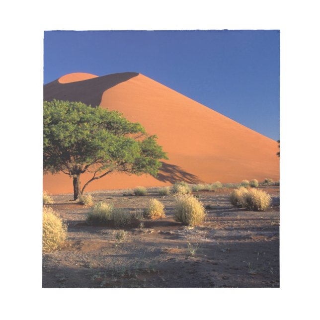 Afrika, Namibia, Namib-Naukluff Park, Sossosvlei Anteckningsblock (Framsida)