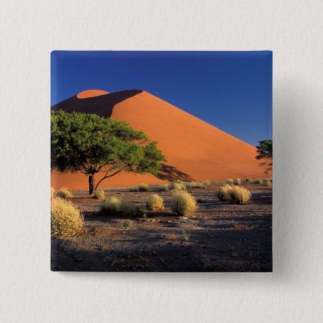 Afrika, Namibia, Namib-Naukluff Park, Sossosvlei Knapp (Framsida)