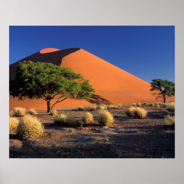 Afrika, Namibia, Namib-Naukluff Park, Sossosvlei Poster (Framsidan)