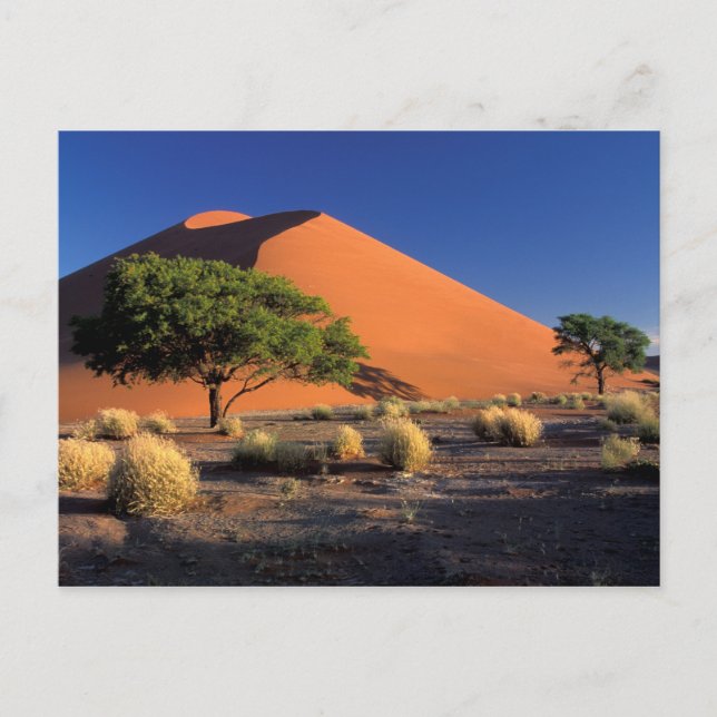 Afrika, Namibia, Namib-Naukluff Park, Sossosvlei Vykort (Framsida)