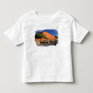 Afrika, Namibia, Namib-Naukluff Park, Sossusvlei Tee