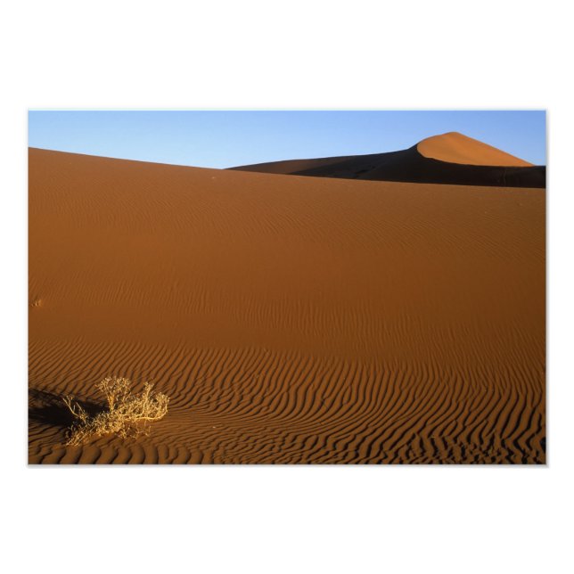 Afrika, Namibia, Namib Naukluft National Park, 2 Fototryck (Framsidan)
