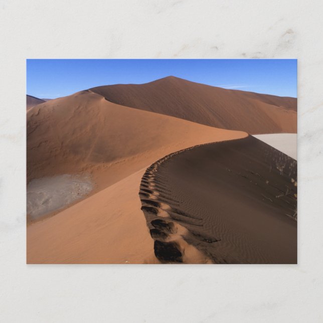 Afrika, Namibia, Namib Naukluft National Park, 2 Vykort (Framsida)