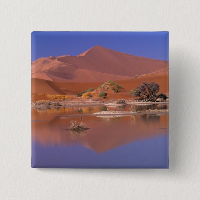 Afrika, Namibia. Namib-Naukluft Park. 2 Knapp (Framsida)