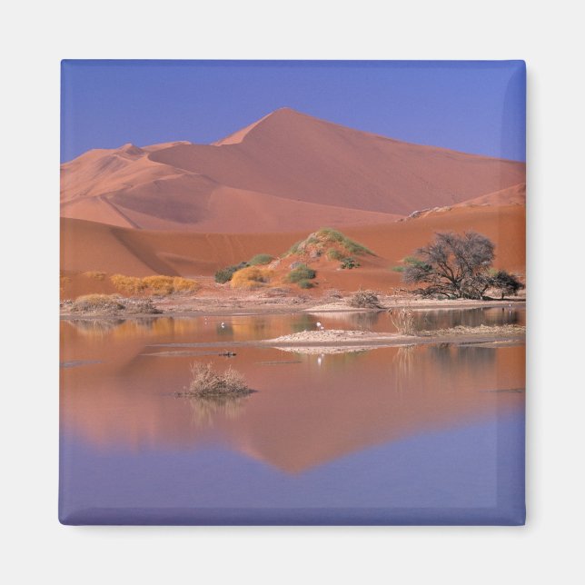 Afrika, Namibia. Namib-Naukluft Park. 2 Magnet (Framsidan)