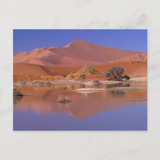 Afrika, Namibia. Namib-Naukluft Park. 2 Vykort