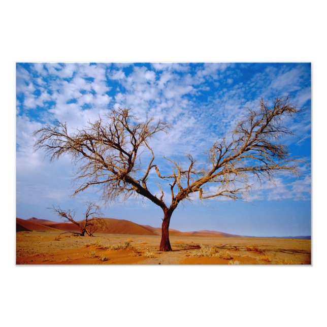 Afrika, Namibia, Naukluft nationalpark, Fototryck (Framsidan)