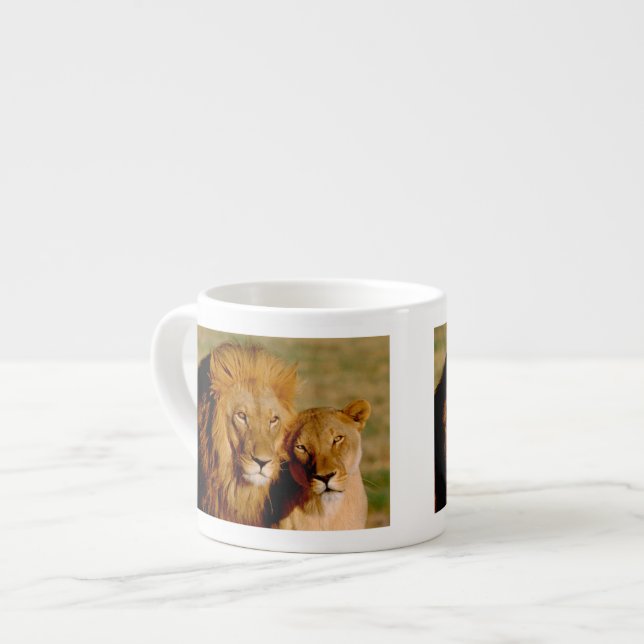 Afrika, Namibia, Okonjima. Lejon & lejoninna Espressomugg (Framsida vänster)