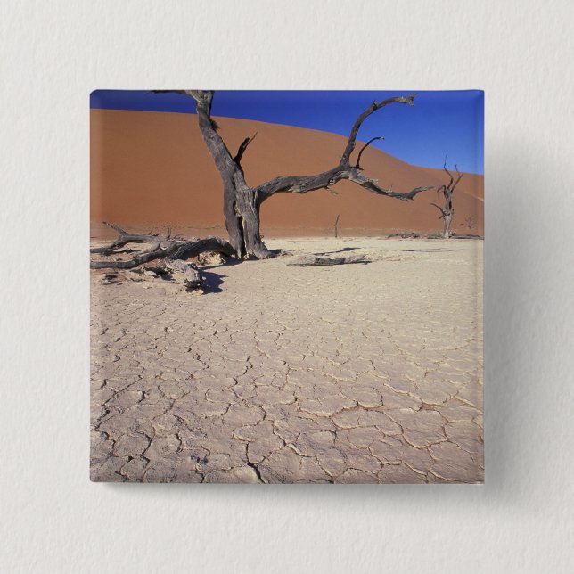 Afrika, Namibia, Sossusvlei-regionen. Sanddyner Knapp (Framsida)