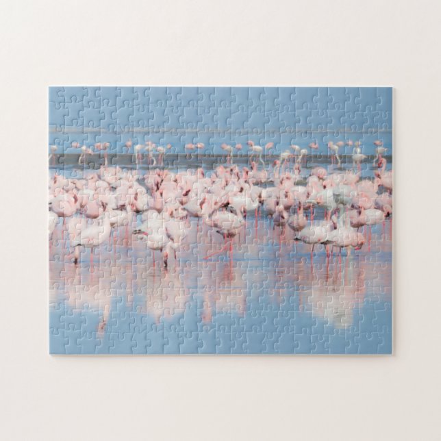 Afrika, Namibia, Valfis Bay Pussel (Horisontell)