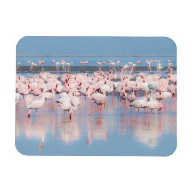 Afrika, Namibia, Walvis Bay Magnet (Horisontell)