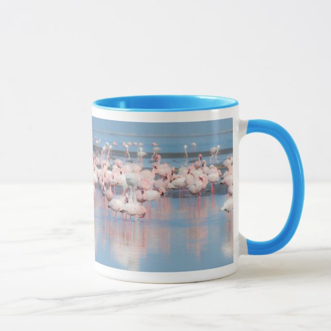 Afrika, Namibia, Walvis Bay Mugg (Höger)