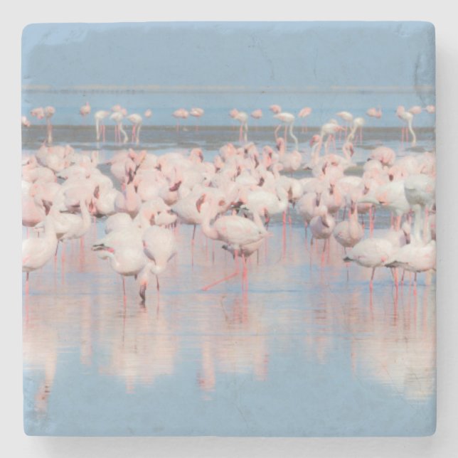 Afrika, Namibia, Walvis Bay Stenunderlägg (Framsidan)