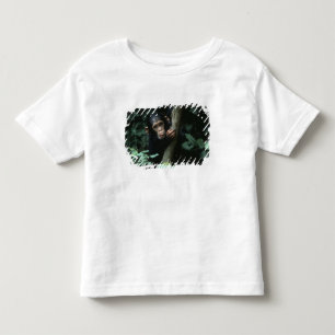 Afrika, Östafrika, Tanzania, Gombe National Tee Shirt
