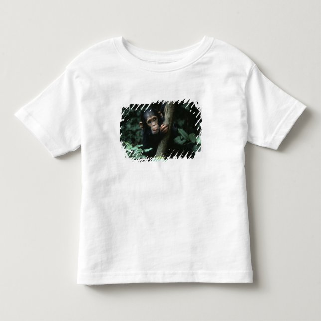 Afrika, Östafrika, Tanzania, Gombe National Tee Shirt (Framsida)