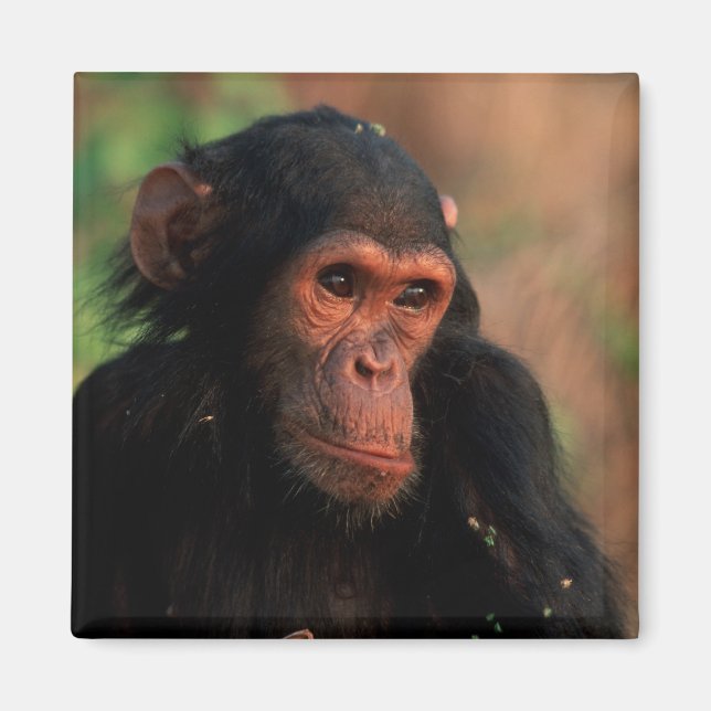 Afrika, Östafrika, Tanzania Magnet (Framsidan)