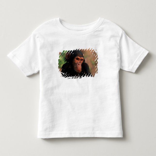 Afrika, Östafrika, Tanzania Tee (Framsida)