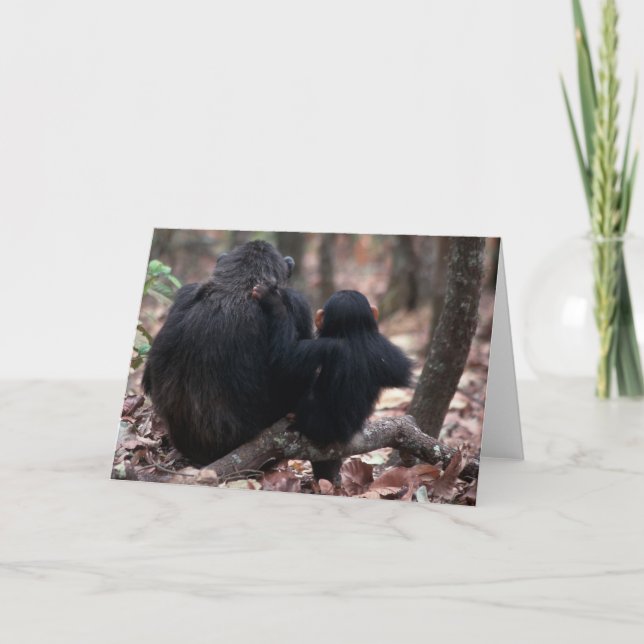 Afrika, Öster Afrika, Tanzania, Gombe National Kort (Framsida)