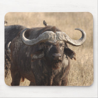 Afrika - oxen med stora horn musmatta