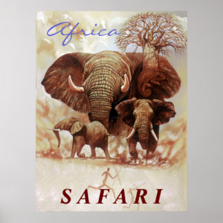 Afrika Safari- Ele- studien Poster