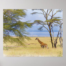 Afrika Safari Giraffe Watercolor Painting Poster