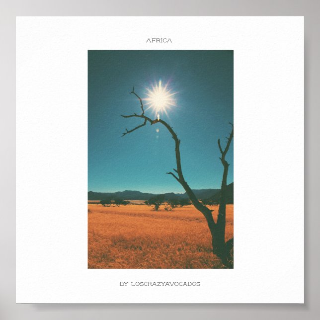 Afrika Savannah Grass Träd View Panorama Poster (Framsidan)