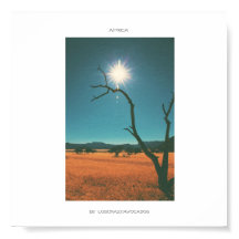 Afrika Savannah Grass Träd View Panorama Poster