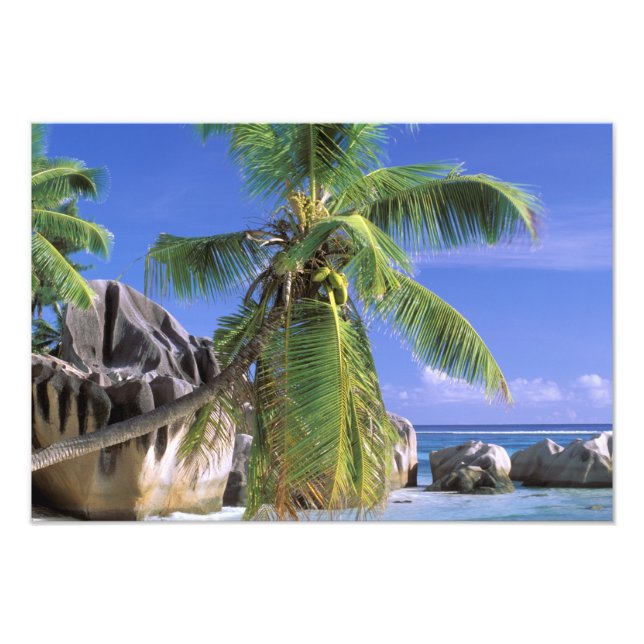 Afrika, Seychellerna, La Digue Island. Granit 2 Fototryck (Framsidan)
