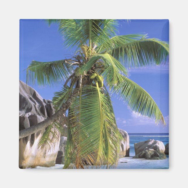 Afrika, Seychellerna, La Digue-ön. Granit 2 Magnet (Framsidan)