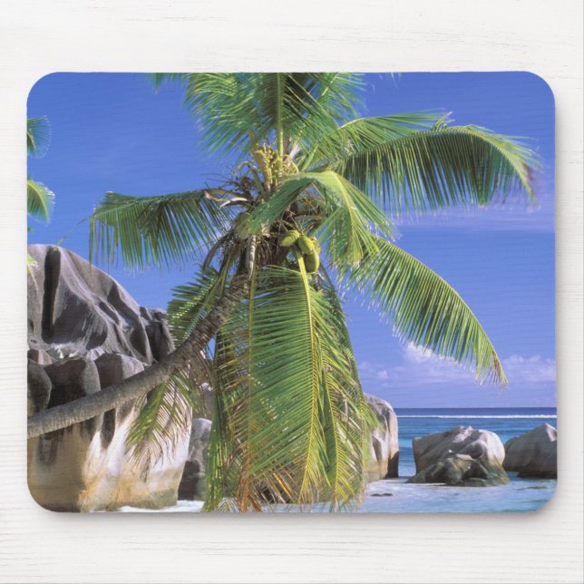 Afrika, Seychellerna, La Digue-ön. Granit 2 Musmatta (Framsidan)