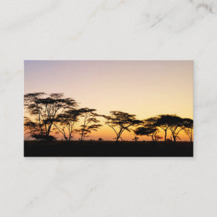 Afrika - solnedgång visitkort