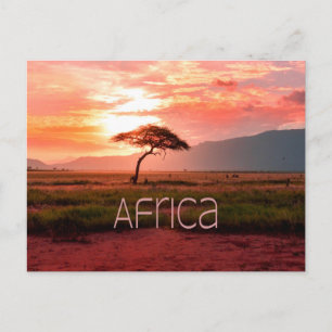 Afrika Sunset African Vykort