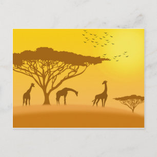 Afrika Sunset Silhouette Vykort