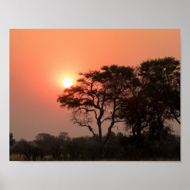 Afrika Sunset Träd Nature Landscapes Himmel Poster (Framsidan)