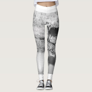 Afrika - Svartvitt - Lejon reflektion Leggings