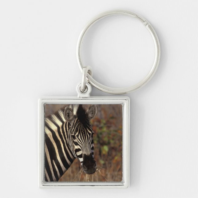 Afrika, Sydafrika, Kruger NP Zebrahuvud Fyrkantig Silverfärgad Nyckelring (Framsidan)