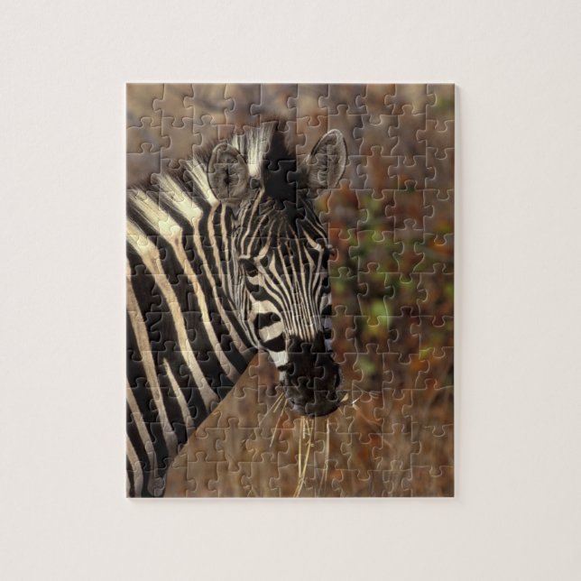 Afrika, Sydafrika, Kruger NP Zebrahuvud Pussel (Vertikal)