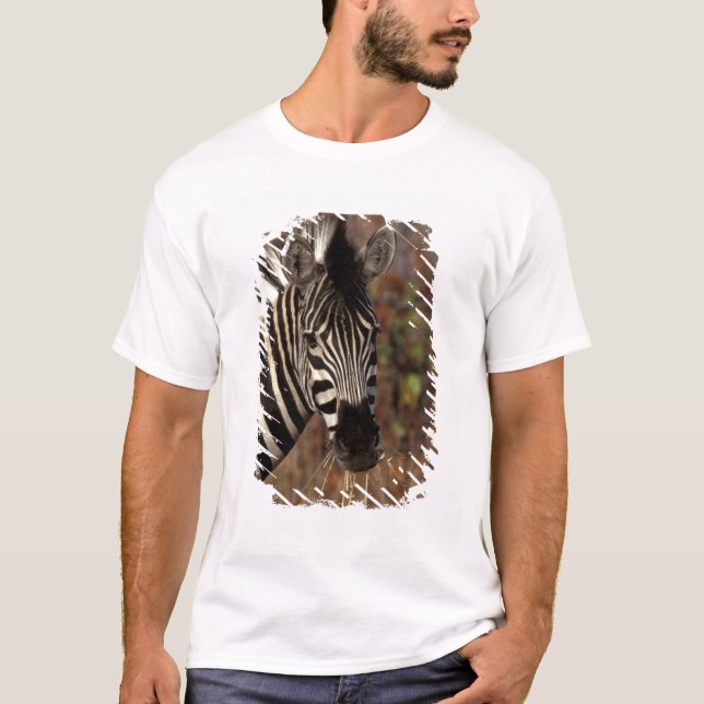 Afrika, Sydafrika, Kruger NP Zebrahuvud Tröja (Framsida)