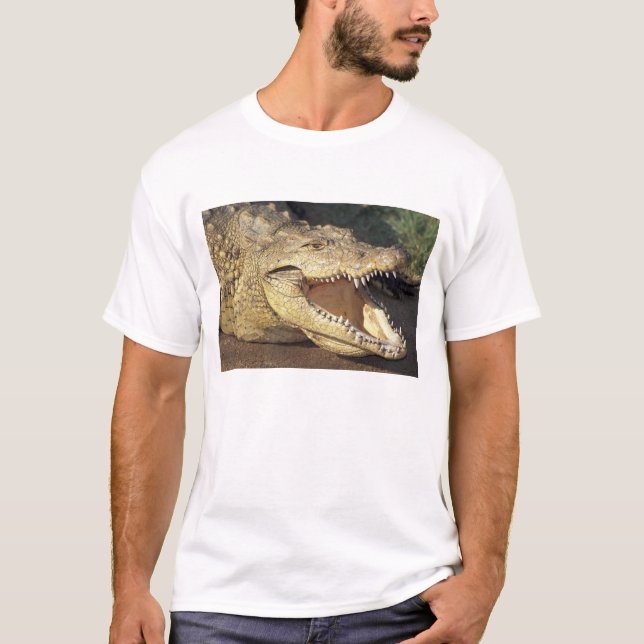Afrika, Sydafrika Nilkrokodil T Shirt (Framsida)