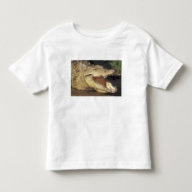 Afrika, Sydafrika Nilkrokodil T Shirt (Framsida)