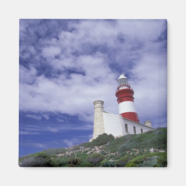 Afrika, Sydafrika, Western Cape, Kap Magnet (Framsidan)