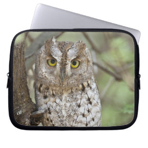 Afrika. Tanzania. Afrikansk dvärguv i Tarangire 2 Laptop Sleeve