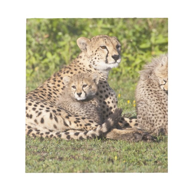 Afrika. Tanzania. Cheetah mor och unge 2 Anteckningsblock (Framsida)